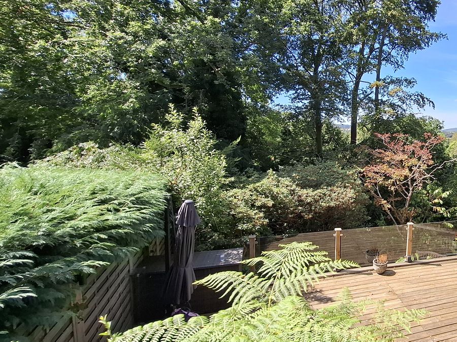 A quiet decked garden where a treatment took place